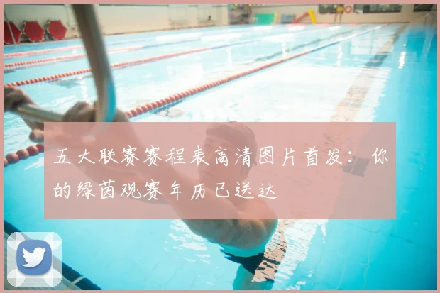 五大联赛赛程表高清图片首发:你的绿茵观赛年历已送达
